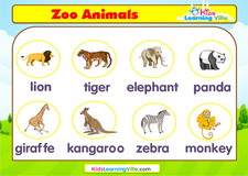 Zoo animals vocabulary video